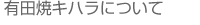 有田焼キハラについて